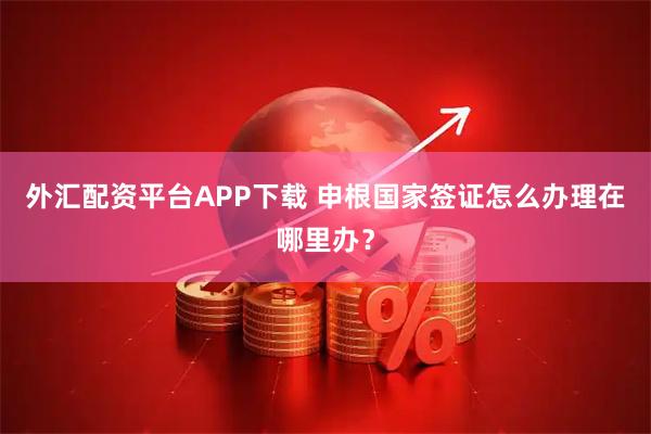 外汇配资平台APP下载 申根国家签证怎么办理在哪里办？