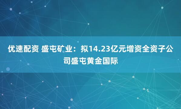 优速配资 盛屯矿业：拟14.23亿元增资全资子公司盛屯黄金国际