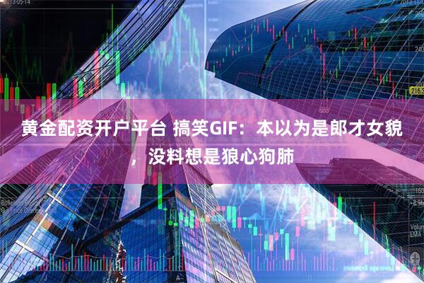 黄金配资开户平台 搞笑GIF：本以为是郎才女貌，没料想是狼心狗肺